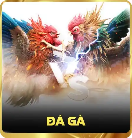 Trang chủ 3 da ga tydo88