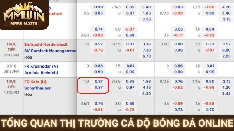 Cách Cá Độ Bóng Đá Không Thua - Chiến Thuật Bất Bại 1 Tổng quan thị trường cá độ bóng đá online