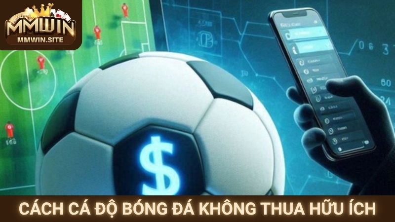 Cách Cá Độ Bóng Đá Không Thua - Chiến Thuật Bất Bại 2 Cách cá độ bóng đá không thua hữu ích