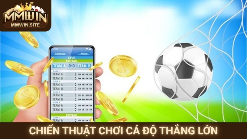 Cách Cá Độ Bóng Đá Không Thua - Chiến Thuật Bất Bại 3 Chiến thuật chơi cá độ thắng lớn