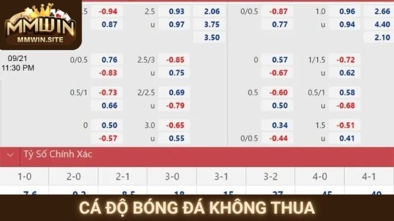 Cách Cá Độ Bóng Đá Không Thua