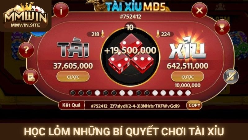 Tài Xỉu – Trải Nghiệm Giải Trí Hấp Dẫn Với Tỷ Lệ Thưởng Cao 3 Học lỏm những bí quyết chơi Tài Xỉu