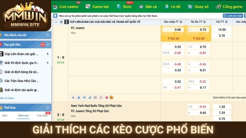 Thể Thao MMWIN - Nơi Trải Nghiệm Đặt Cược Thể Thao Đỉnh Cao 2 Giải thích các kèo cược phổ biến